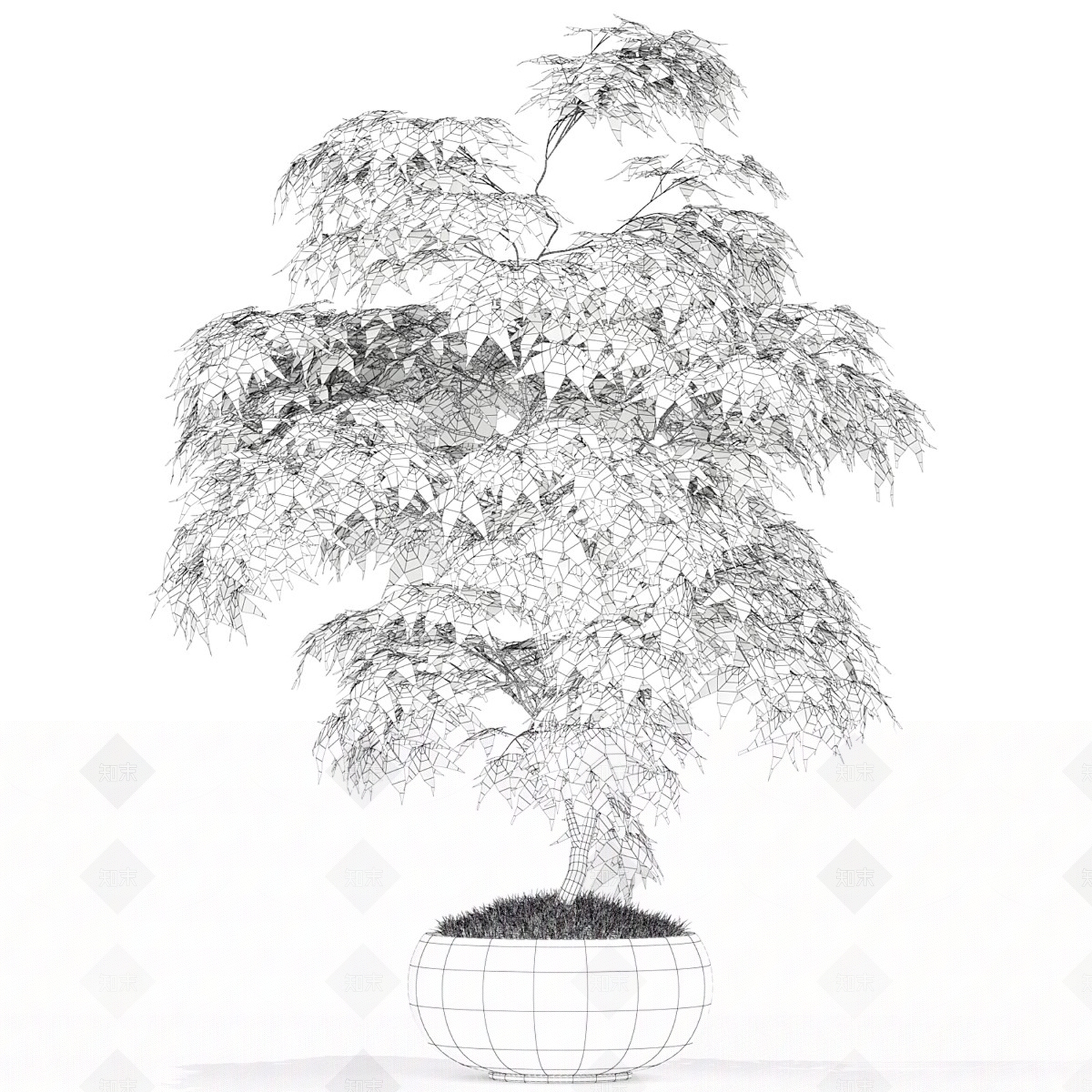 其他绿植3D模型下载【ID:1169197615】