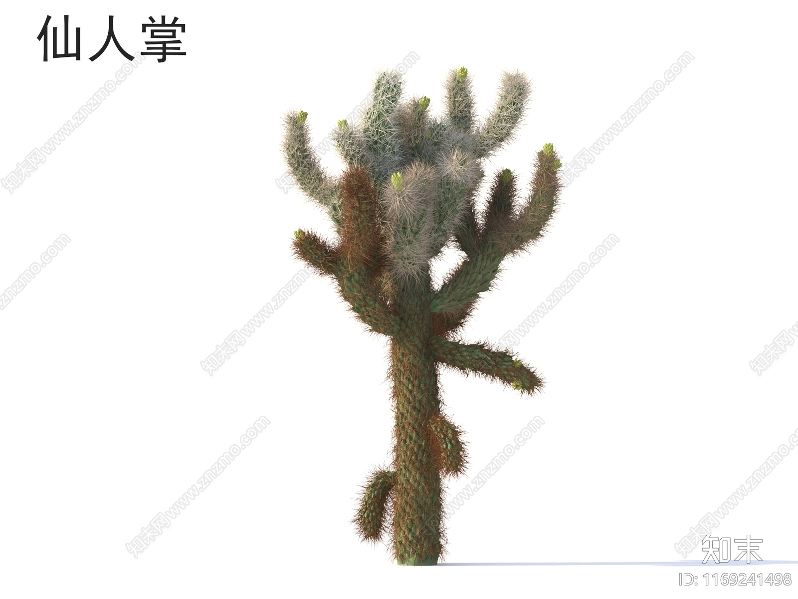 其他树木3D模型下载【ID:1169241498】