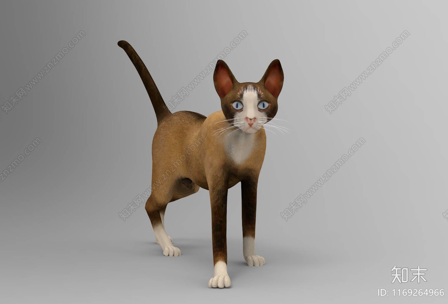 猫3D模型下载【ID:1169264966】