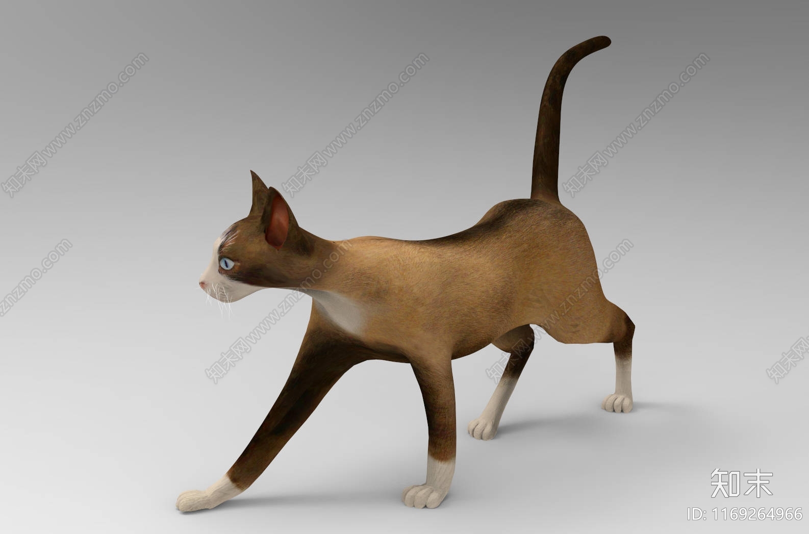 猫3D模型下载【ID:1169264966】