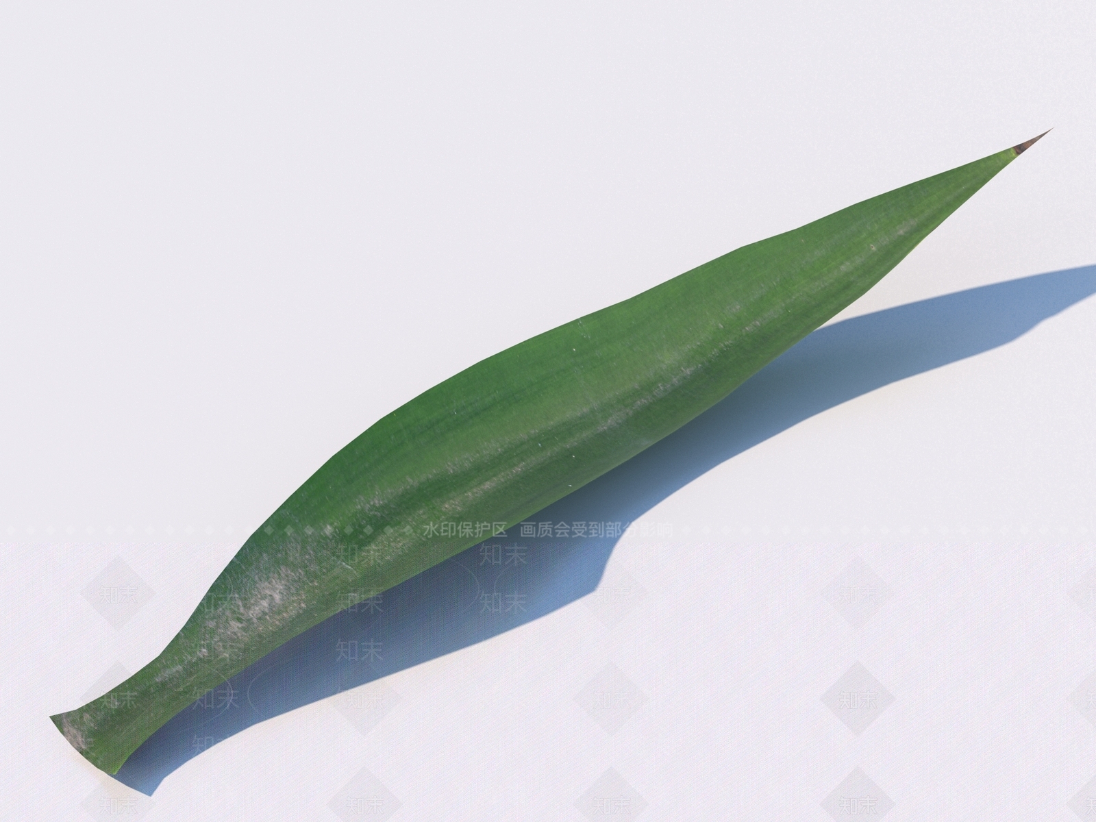 其他树木3D模型下载【ID:1169275843】