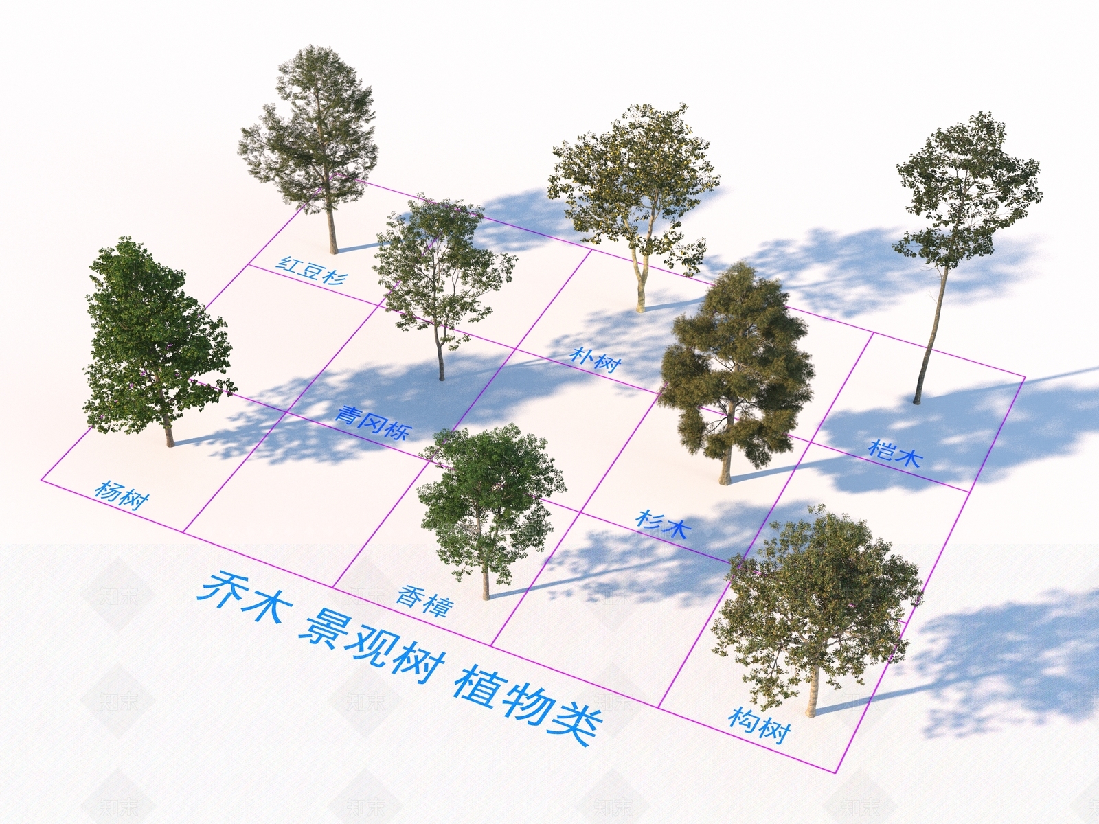 乔木3D模型下载【ID:1169301302】