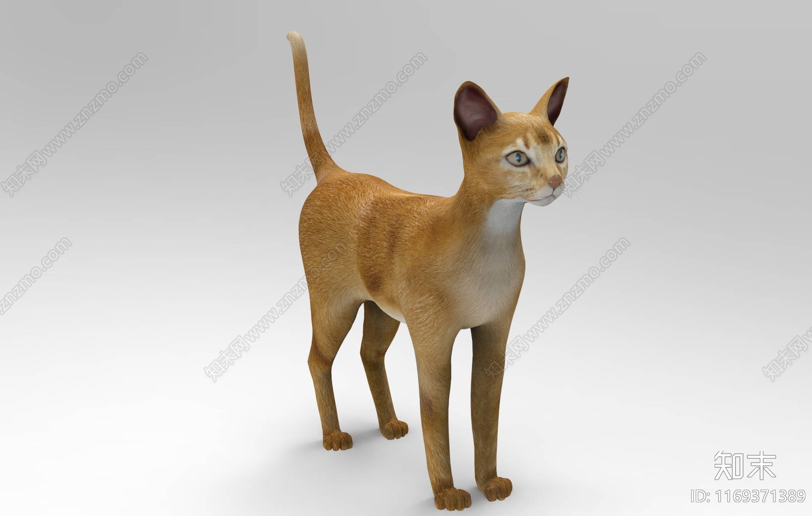 猫3D模型下载【ID:1169371389】