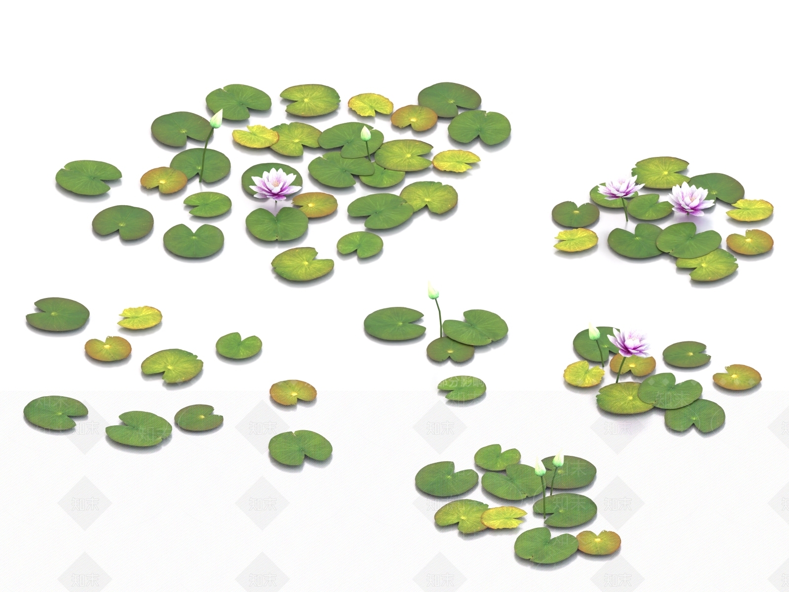 水生植物3D模型下载【ID:1169382496】