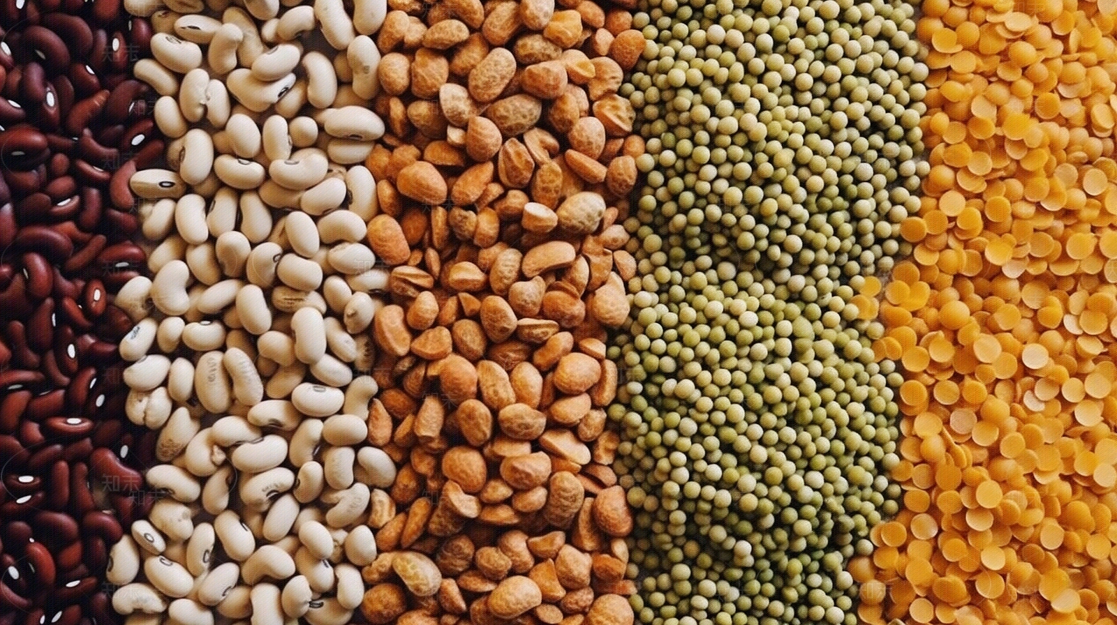 现代美食贴图下载【ID:1169395536】