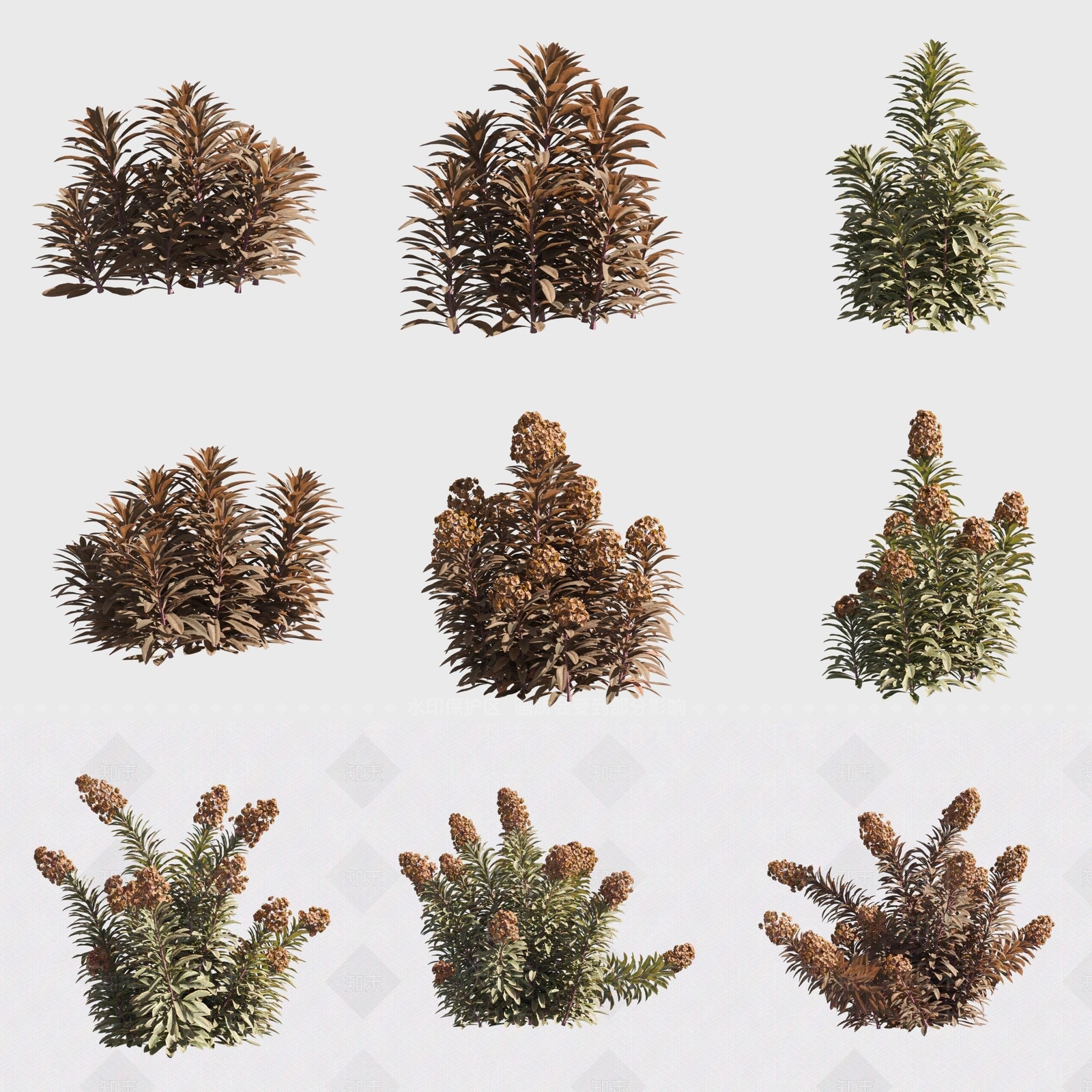 花草组合3D模型下载【ID:1169403014】