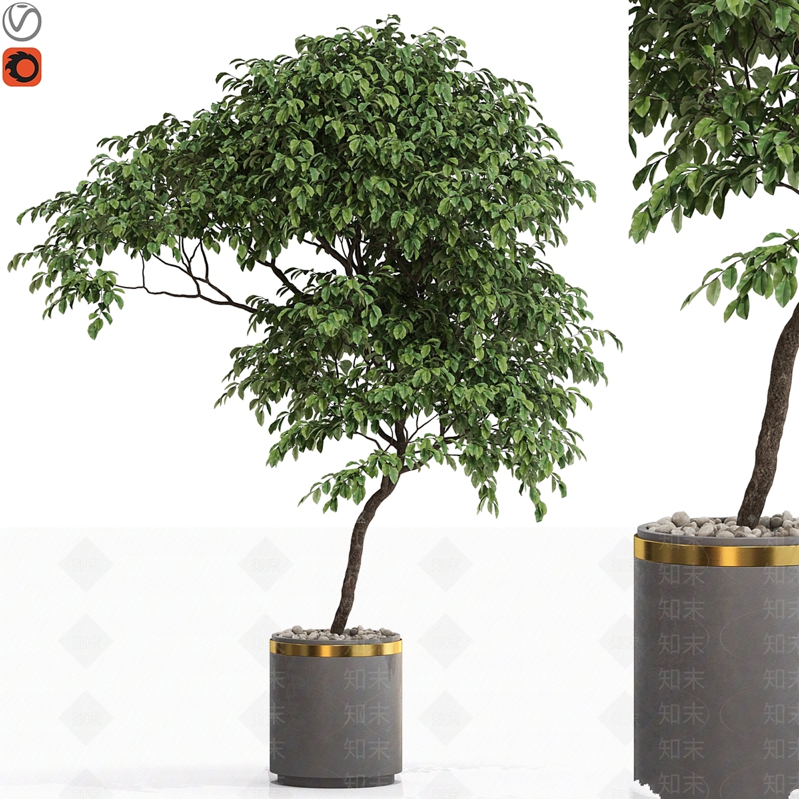盆栽3D模型下载【ID:1169454981】