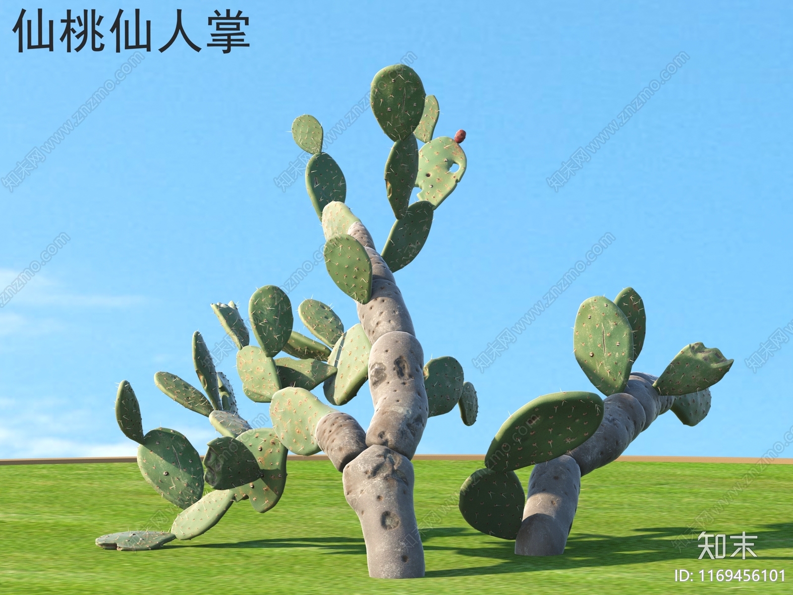 其他树木3D模型下载【ID:1169456101】