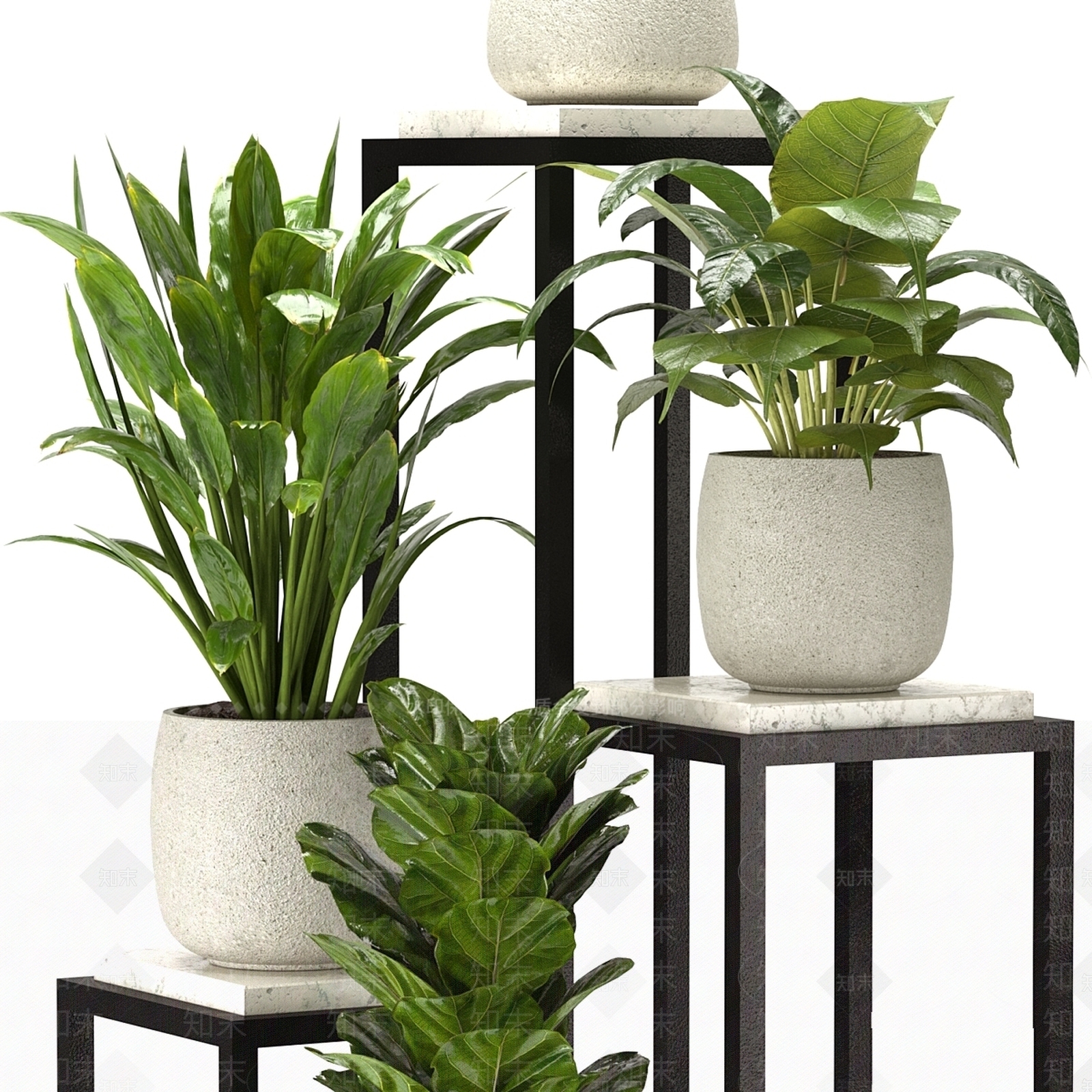 盆栽3D模型下载【ID:1169457216】