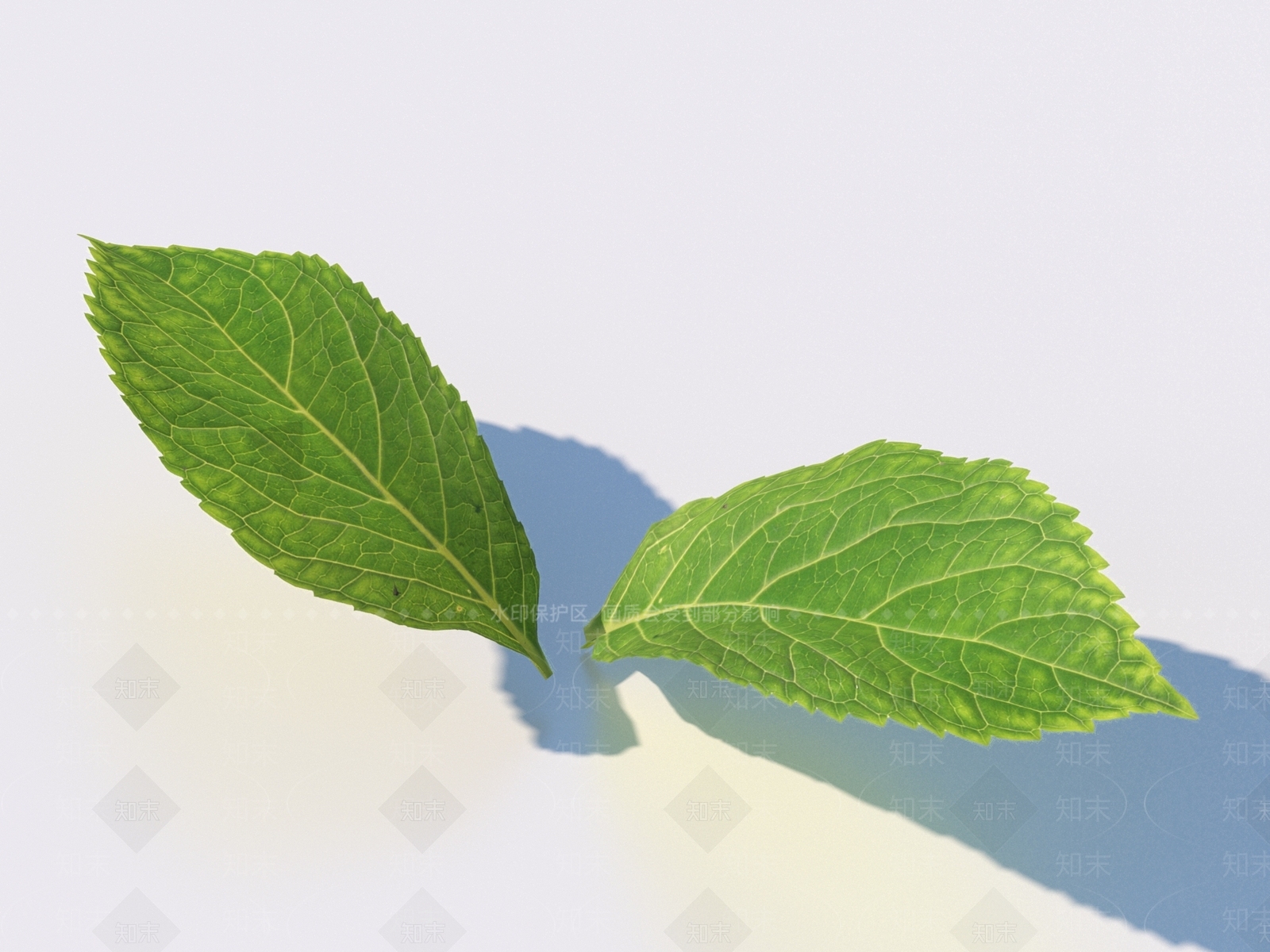 农作物3D模型下载【ID:1169481036】