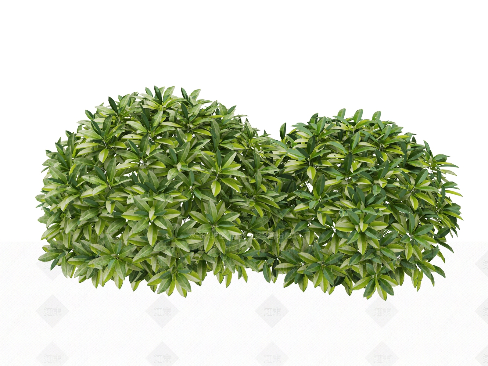 其他绿植3D模型下载【ID:1169528385】