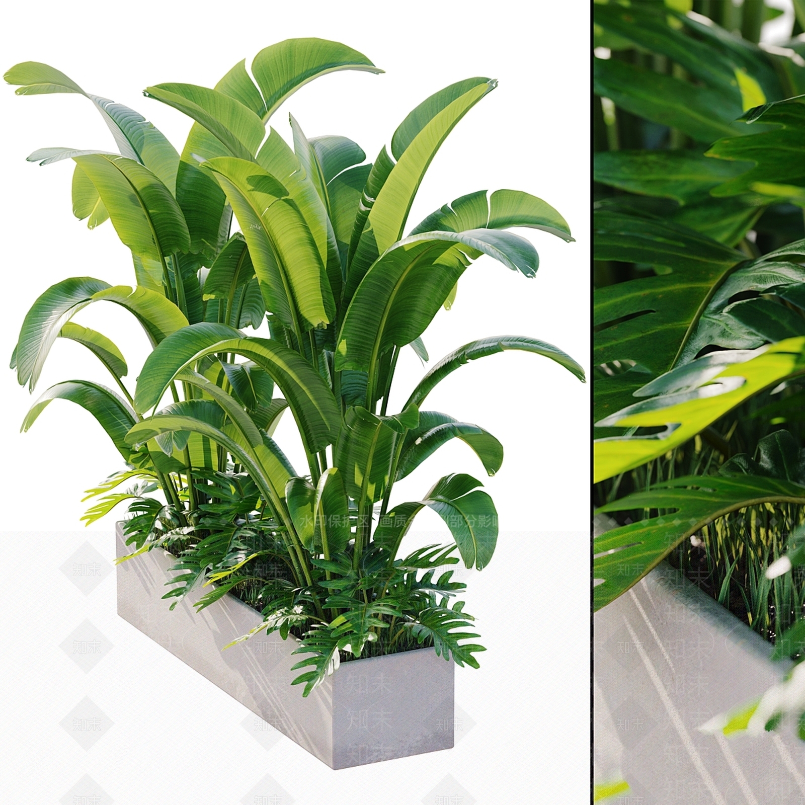其他绿植3D模型下载【ID:1169543244】