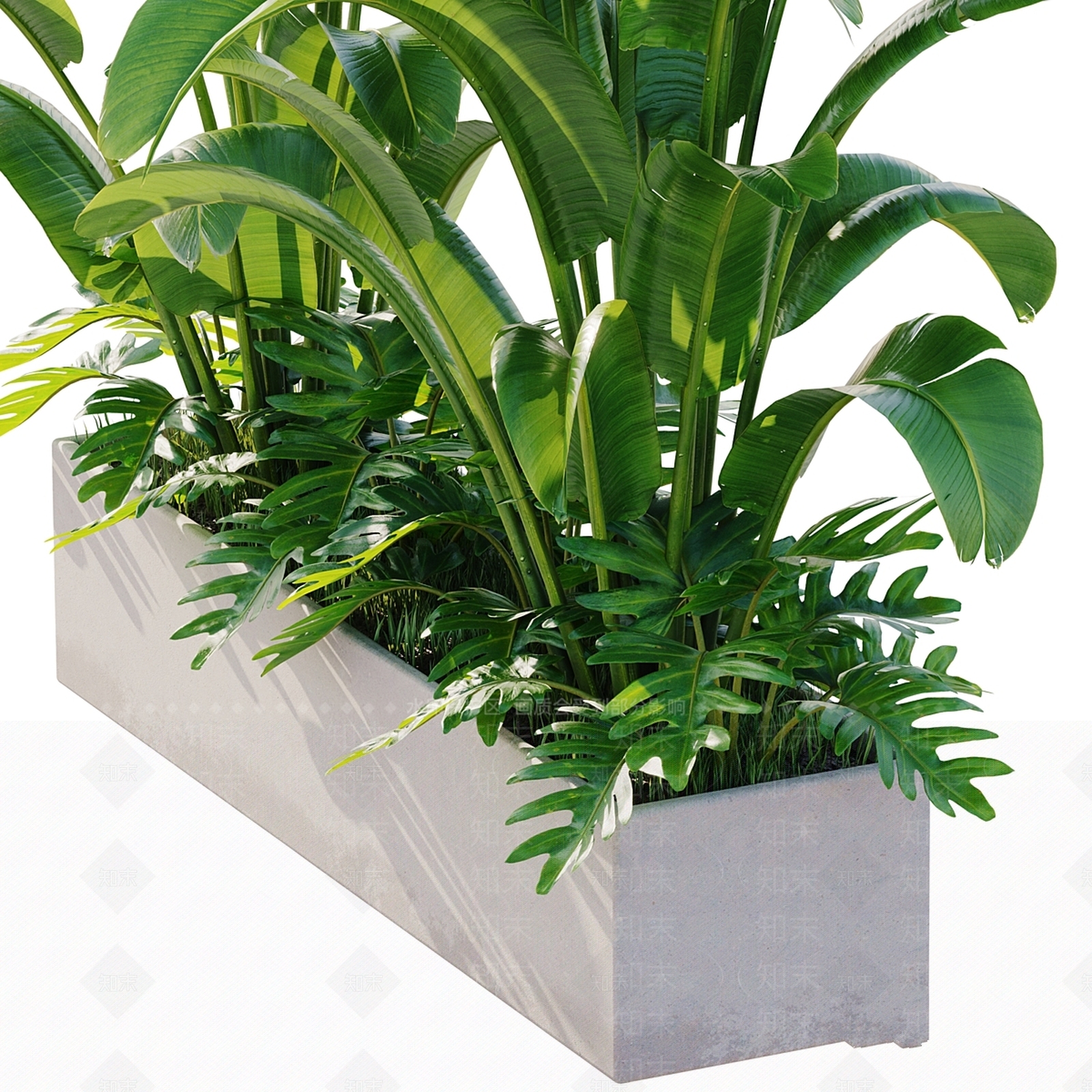 其他绿植3D模型下载【ID:1169543244】