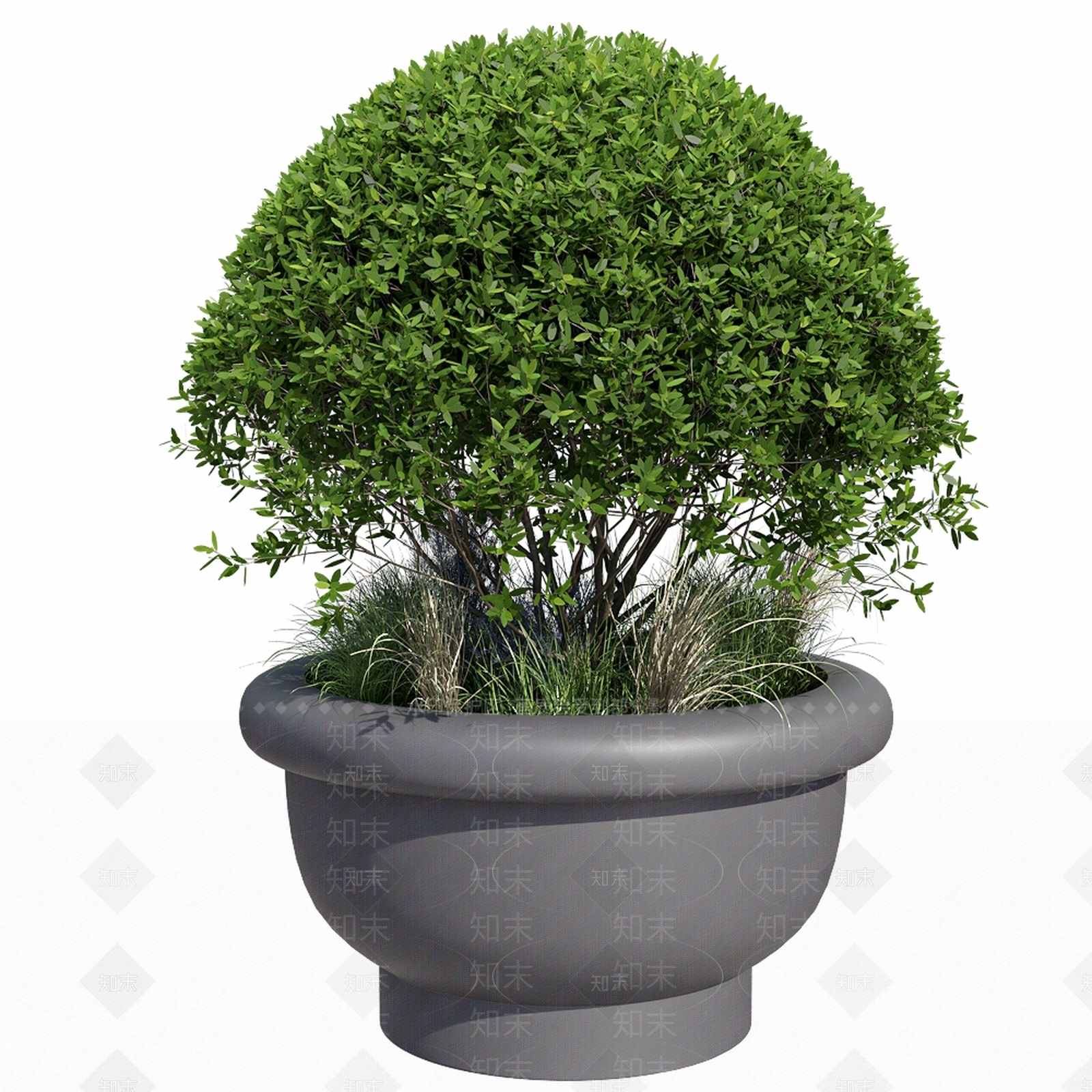 其他绿植3D模型下载【ID:1169552300】