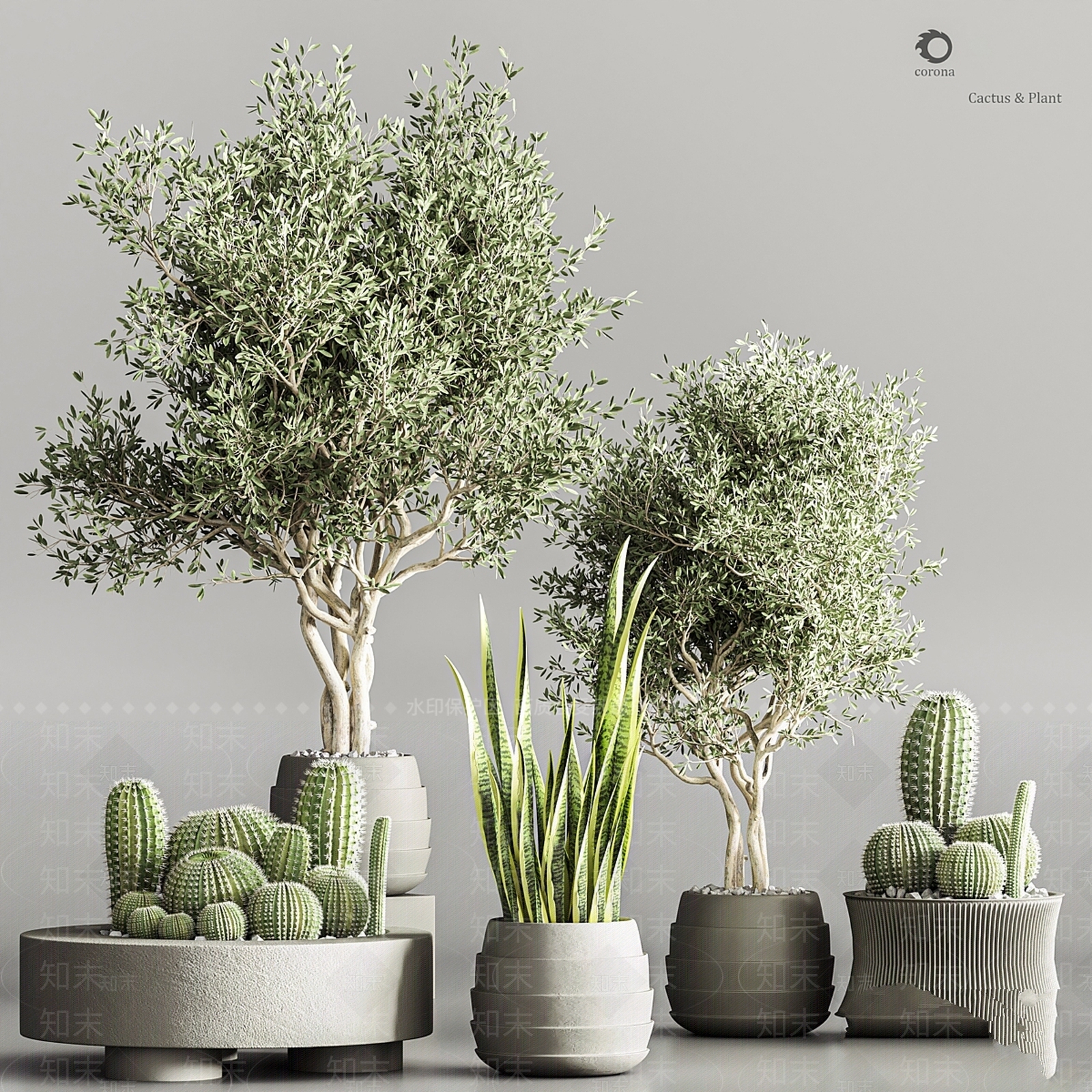 盆栽3D模型下载【ID:1169563240】