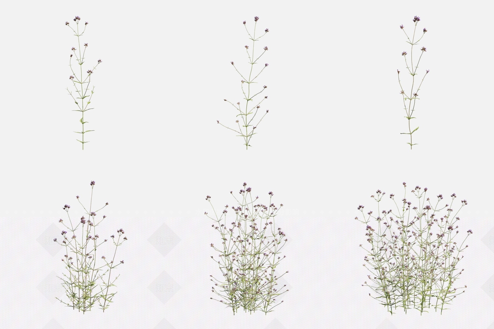 花草组合3D模型下载【ID:1169567540】
