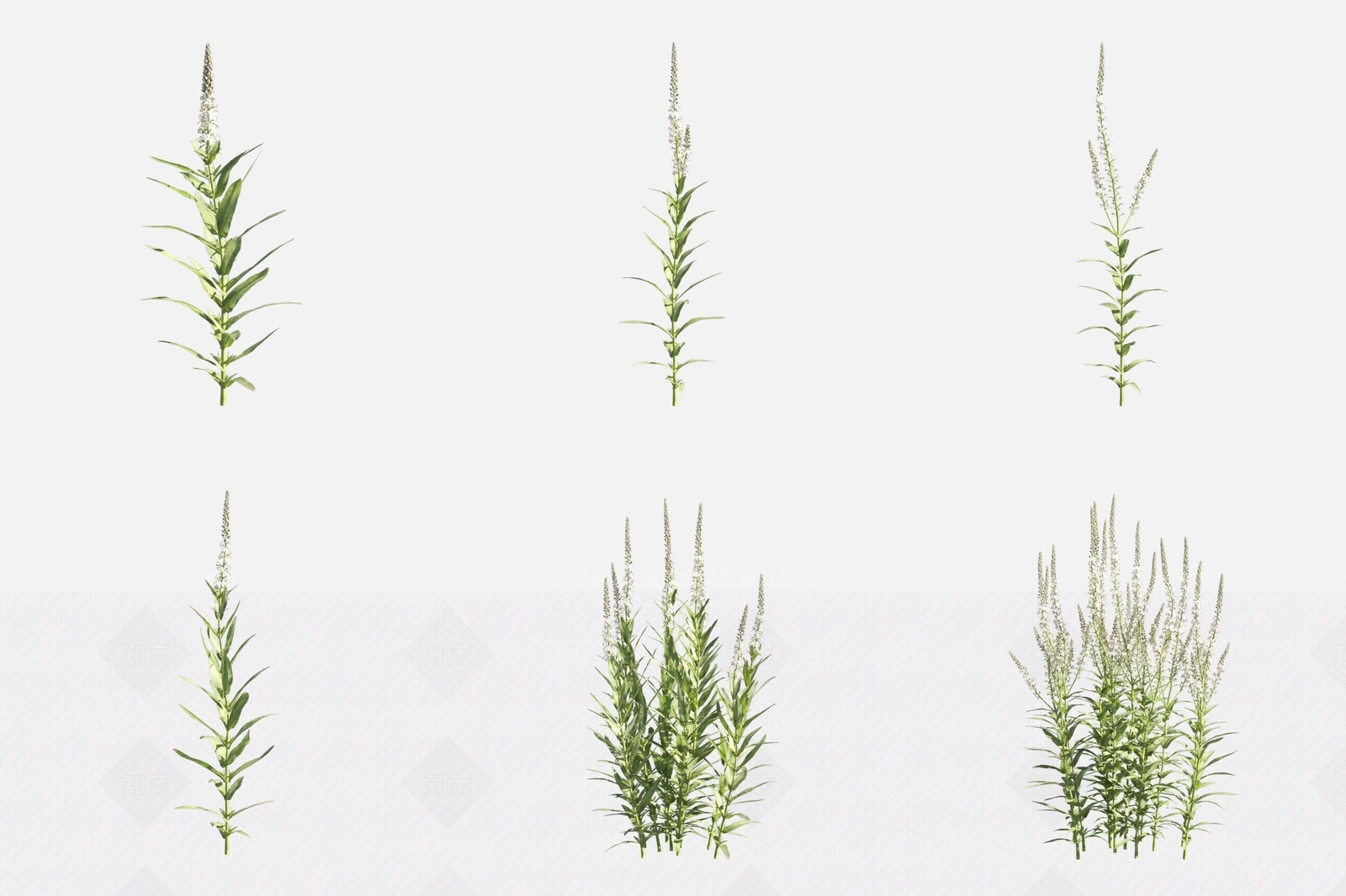 花草组合3D模型下载【ID:1169567674】