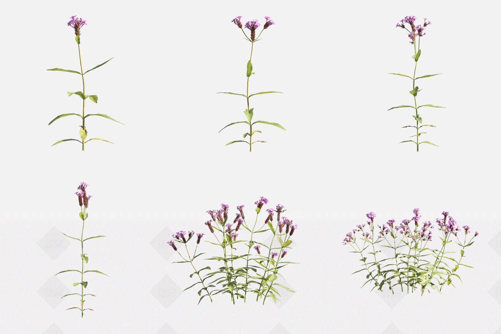 花草组合3D模型下载【ID:1169568400】
