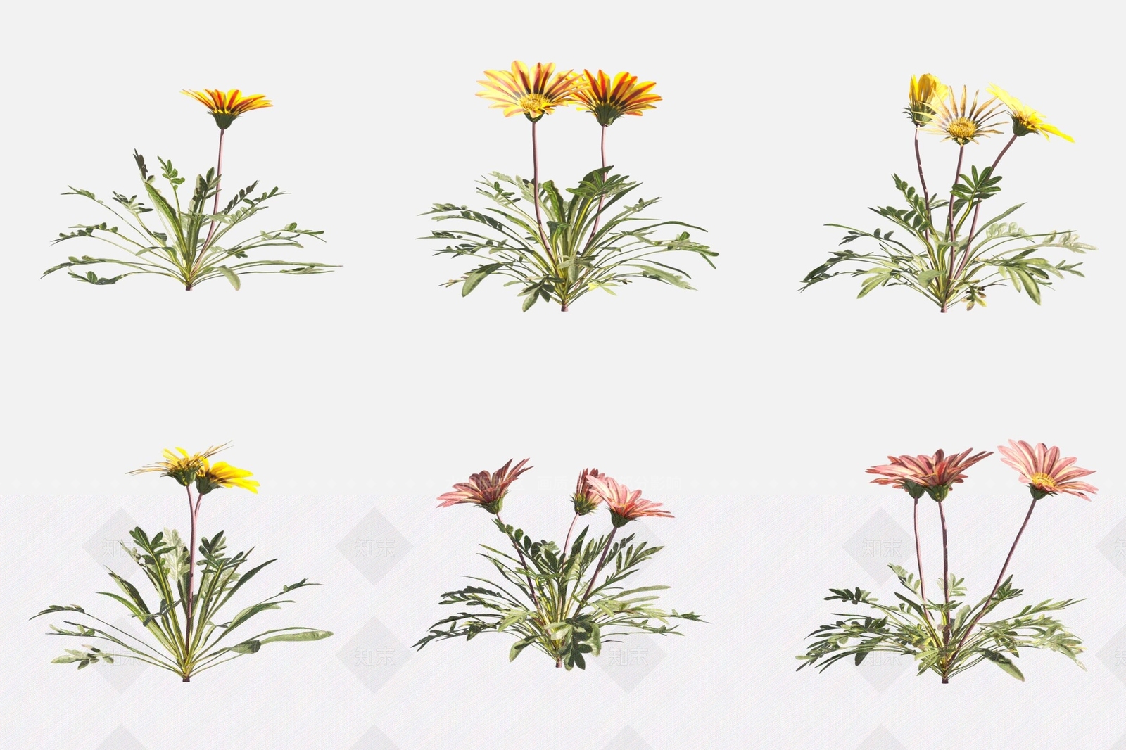 花草组合3D模型下载【ID:1169568694】