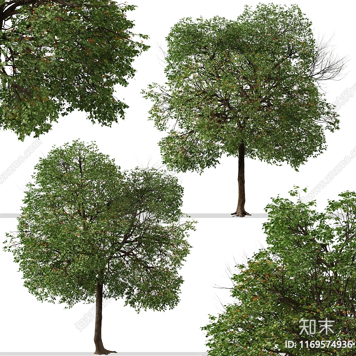 其他树木3D模型下载【ID:1169574936】