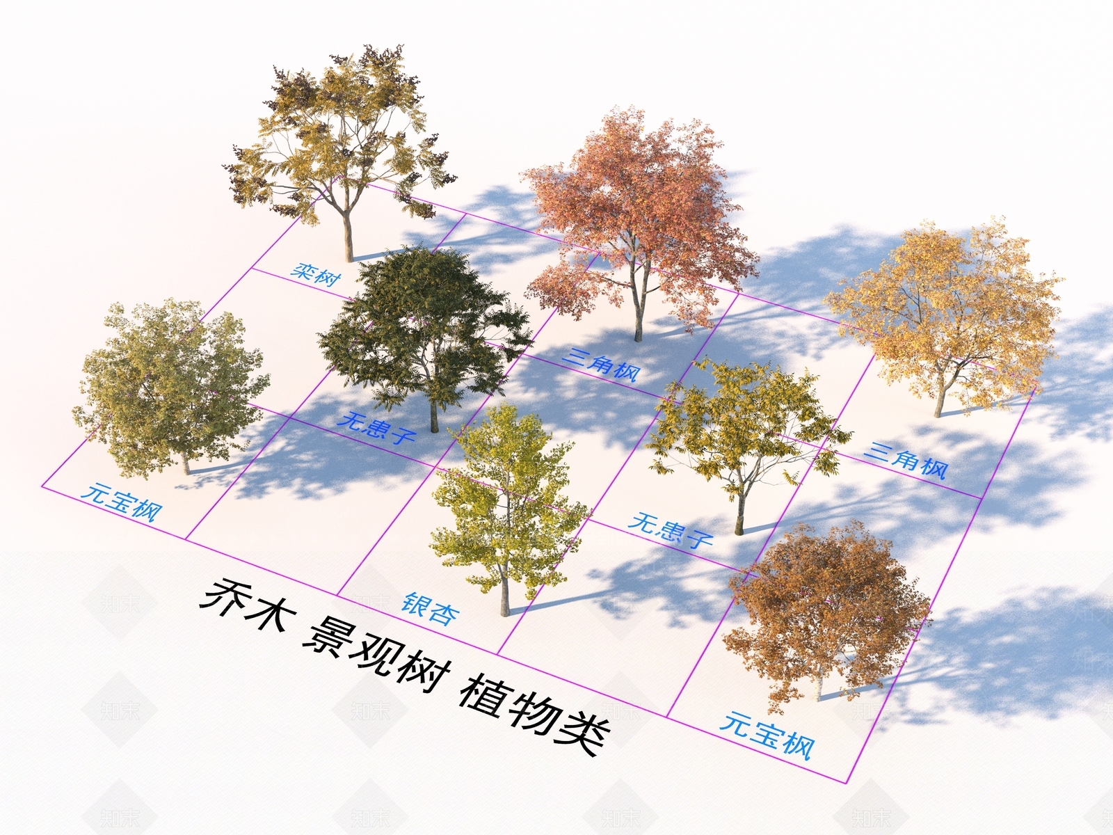 乔木3D模型下载【ID:1169580381】