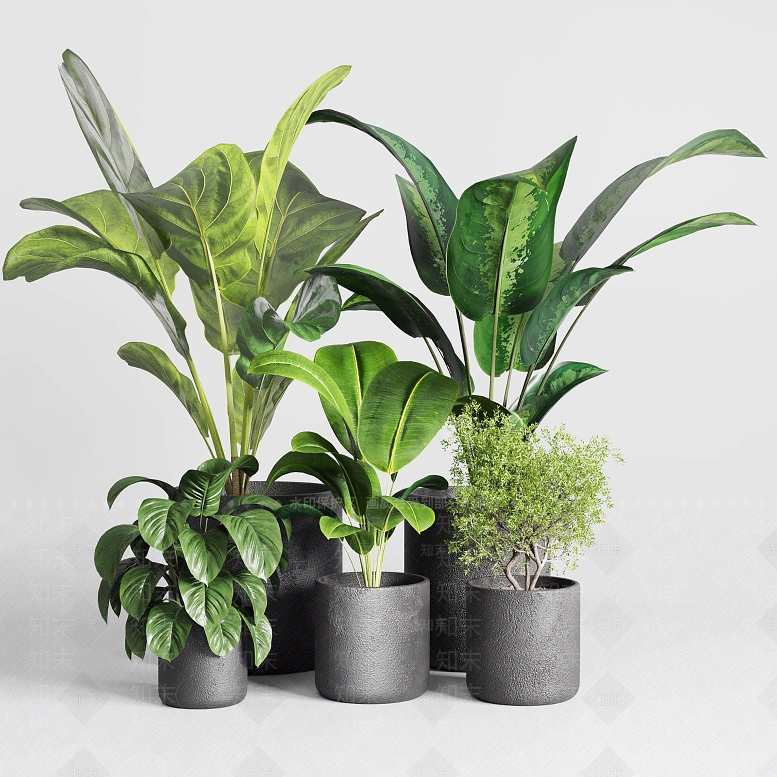 盆栽3D模型下载【ID:1169593847】