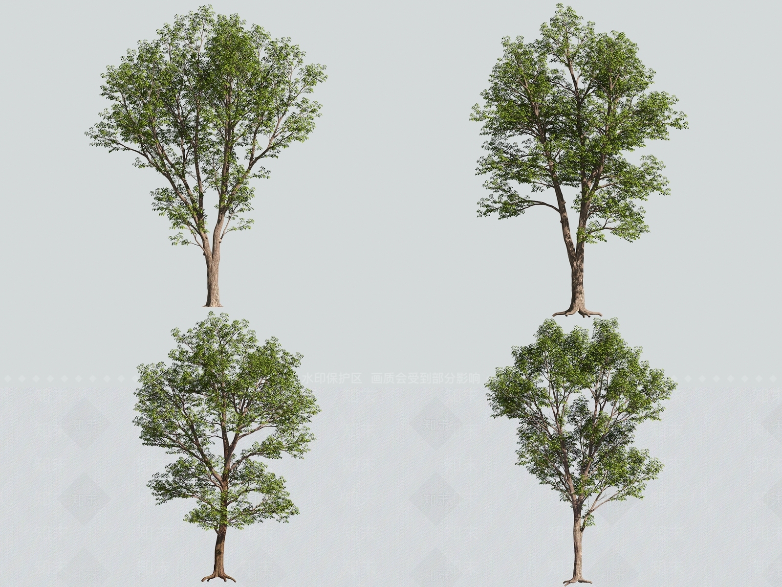 景观树3D模型下载【ID:1169597211】