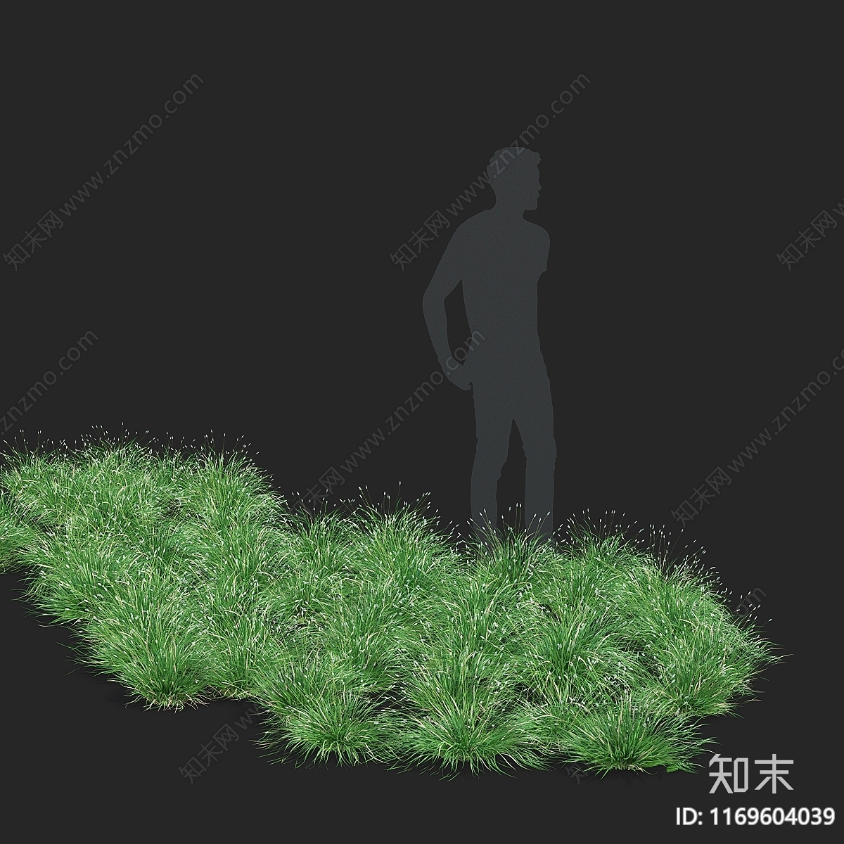 草3D模型下载【ID:1169604039】