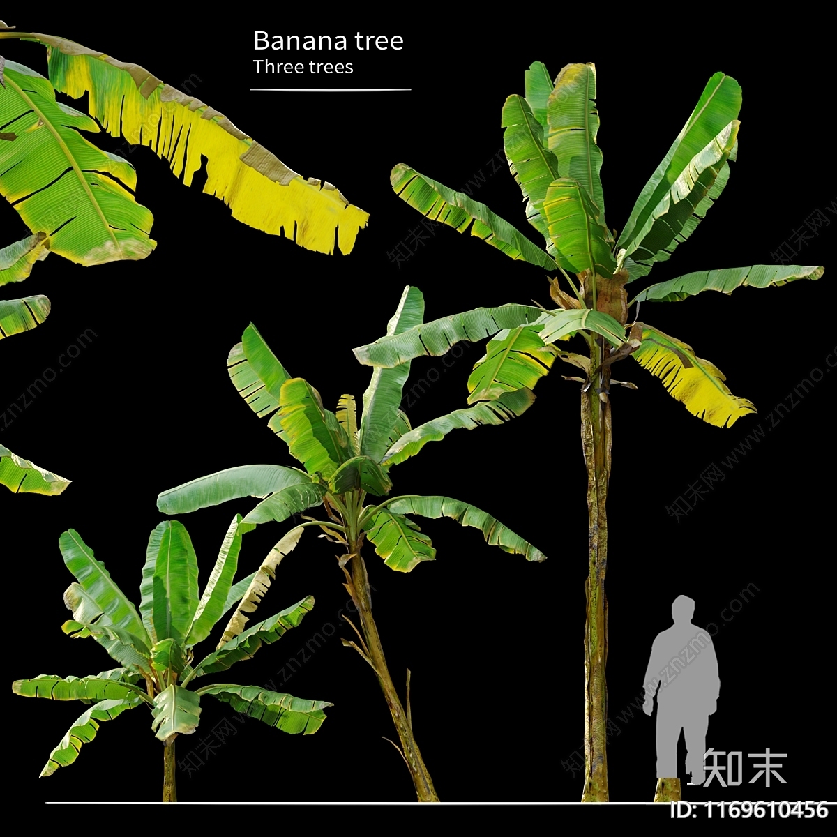 其他树木3D模型下载【ID:1169610456】