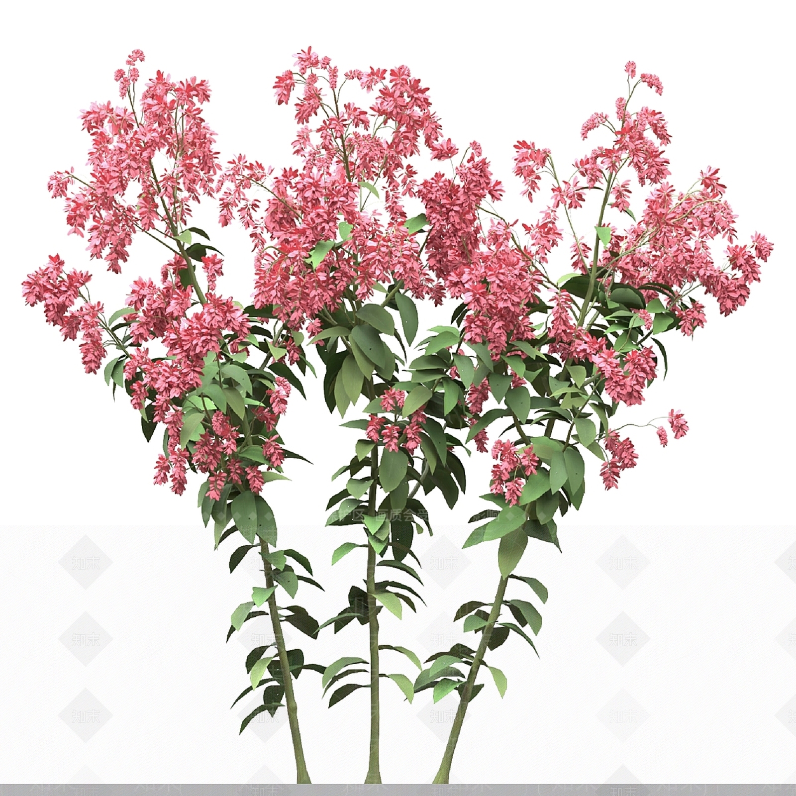 其他绿植3D模型下载【ID:1169611873】