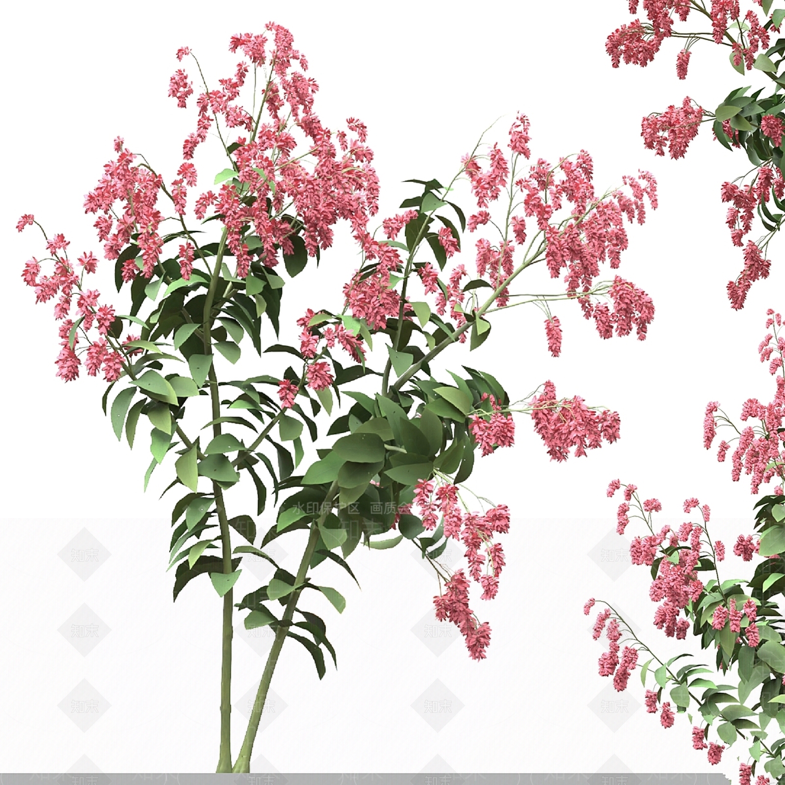 其他绿植3D模型下载【ID:1169611873】