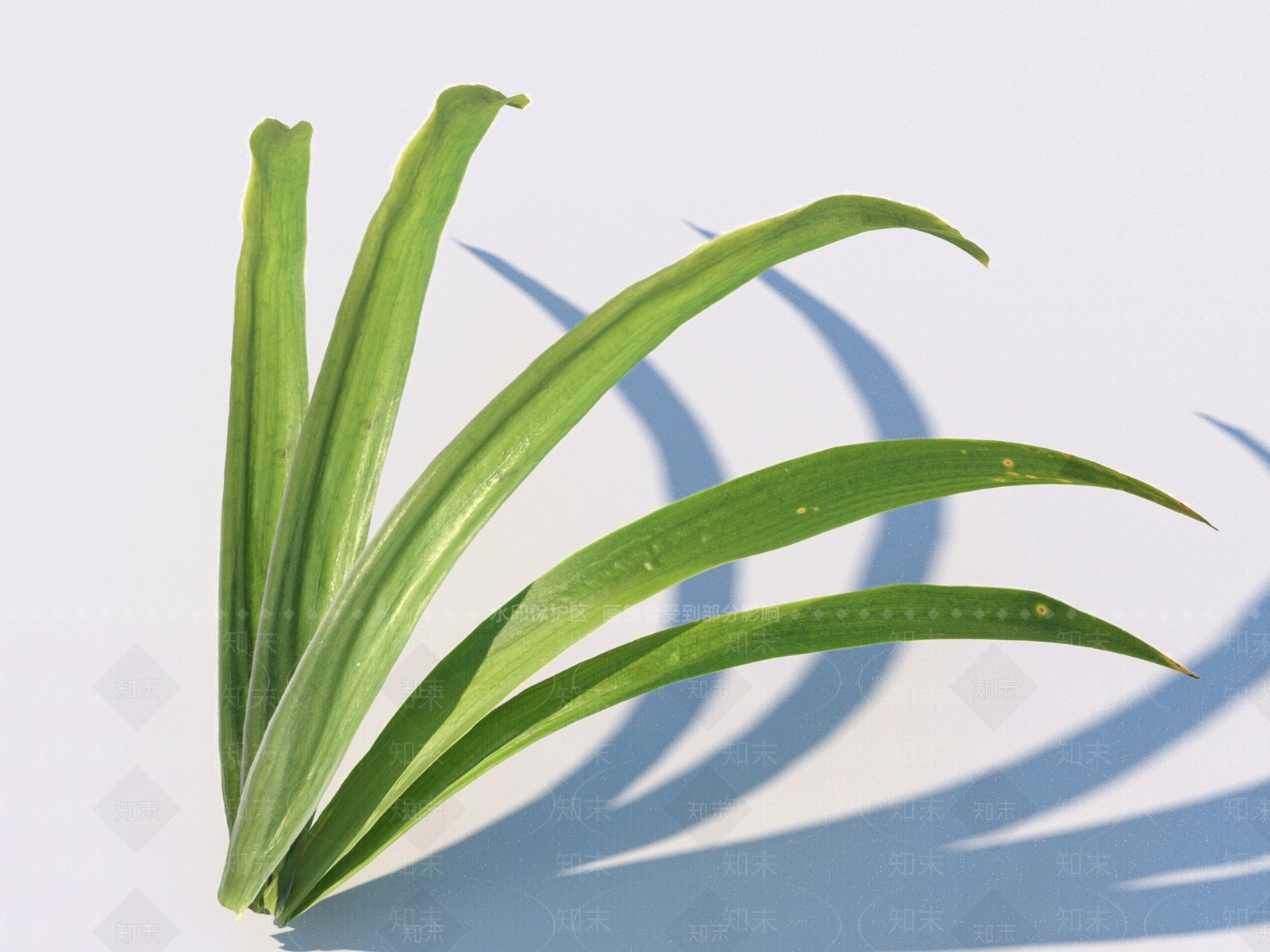农作物3D模型下载【ID:1169618235】