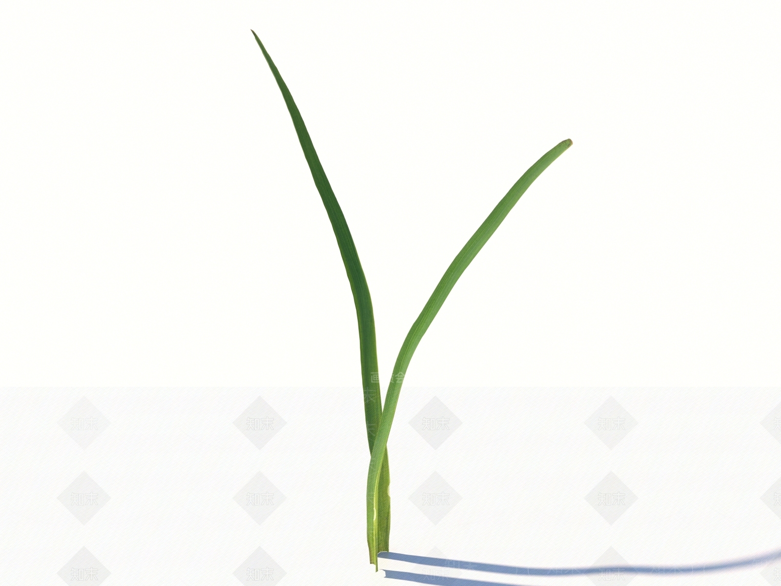 农作物3D模型下载【ID:1169620252】
