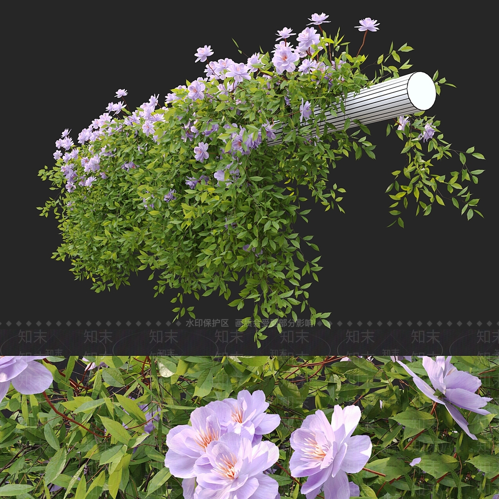 其他绿植3D模型下载【ID:1169620712】