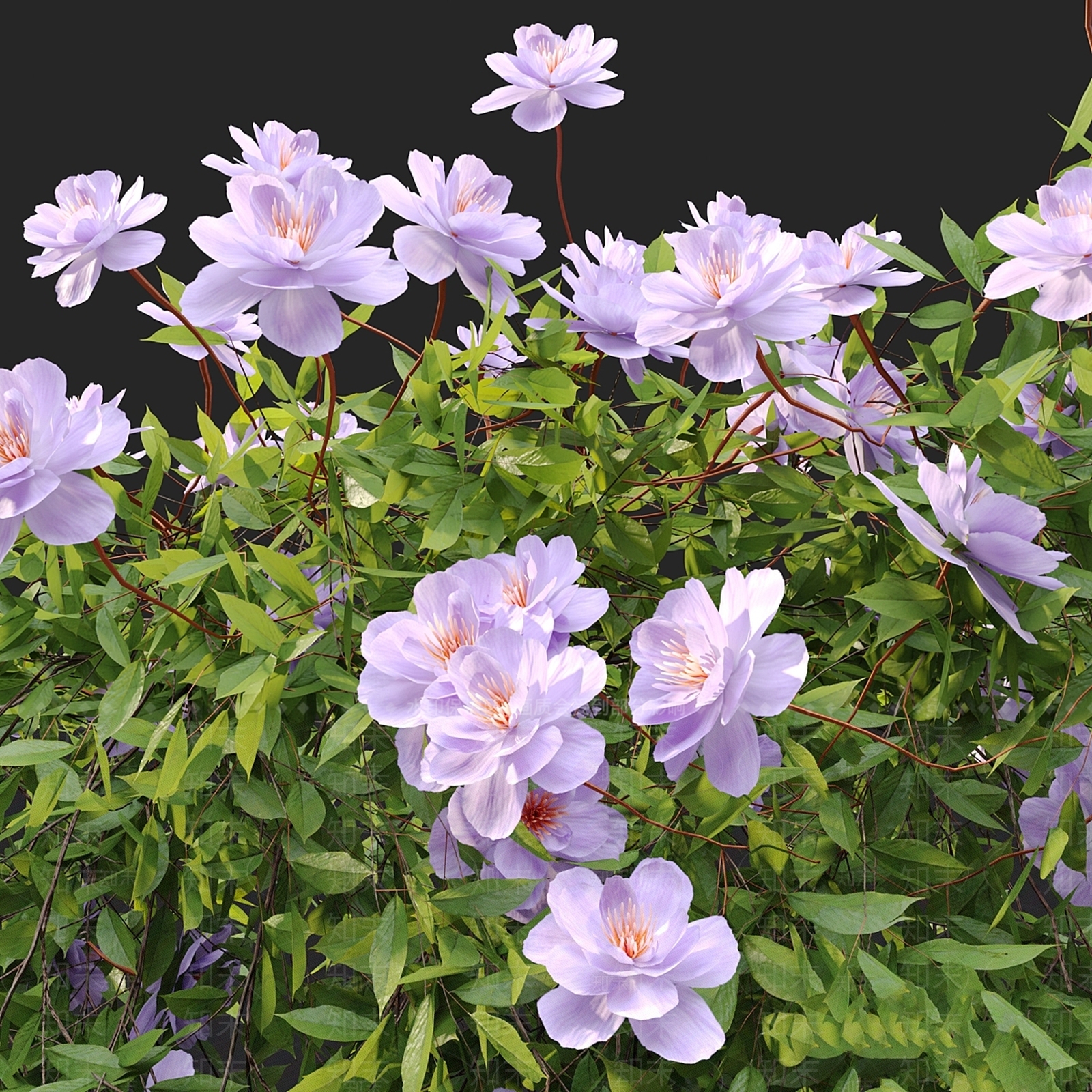 其他绿植3D模型下载【ID:1169620712】