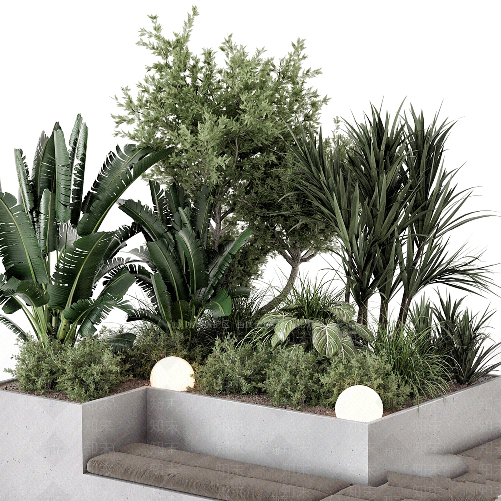 其他绿植3D模型下载【ID:1169625711】