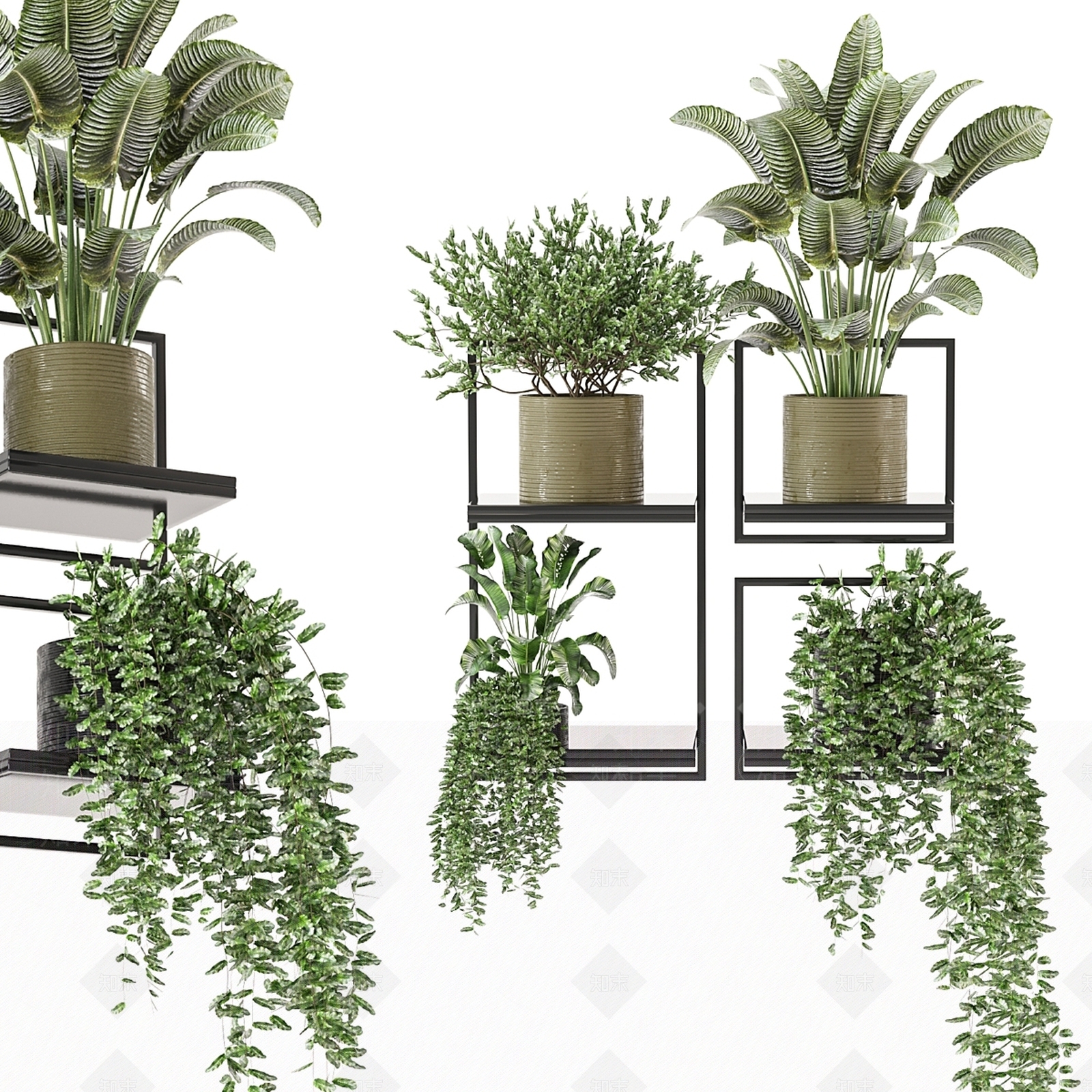 盆栽3D模型下载【ID:1169625893】