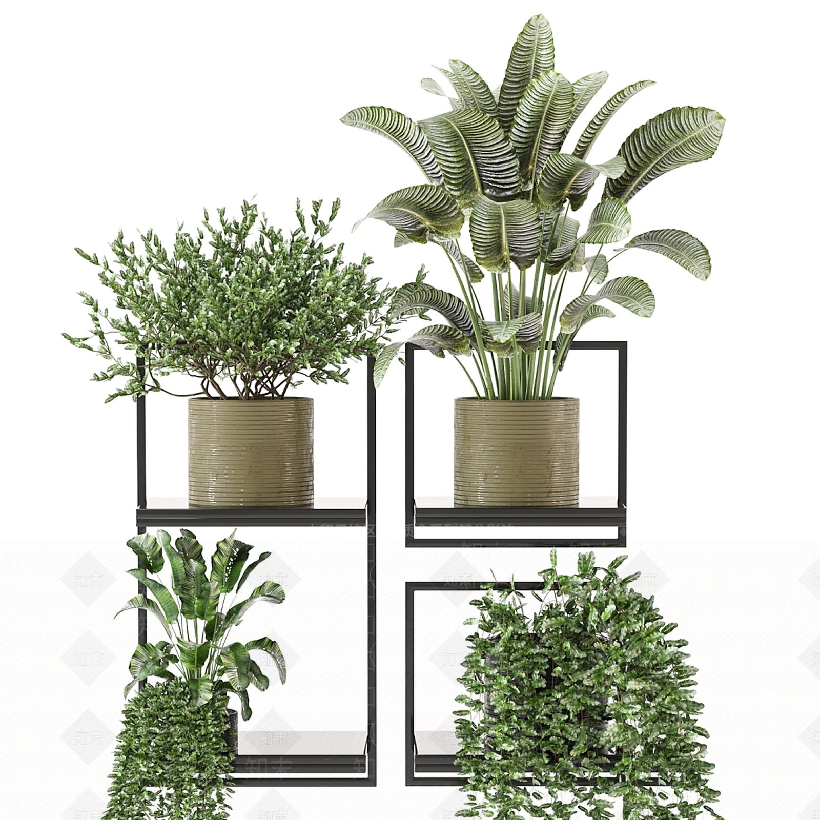 盆栽3D模型下载【ID:1169625893】