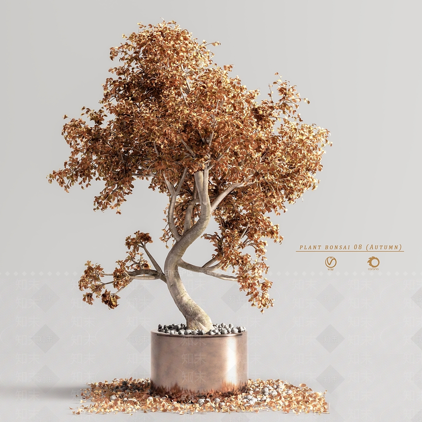 盆栽3D模型下载【ID:1169627915】