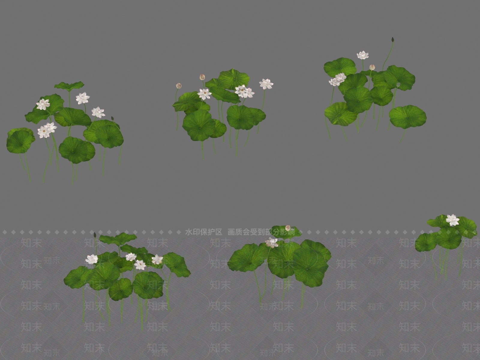 水生植物3D模型下载【ID:1169632019】