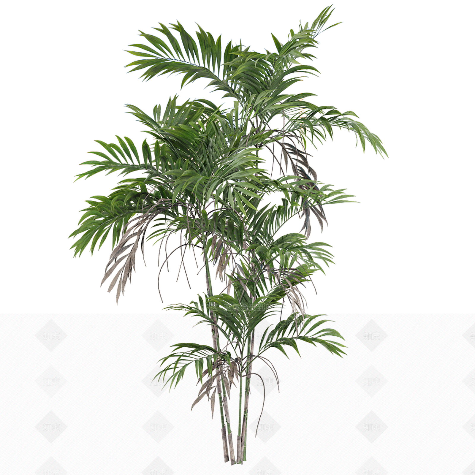 景观树3D模型下载【ID:1169646293】