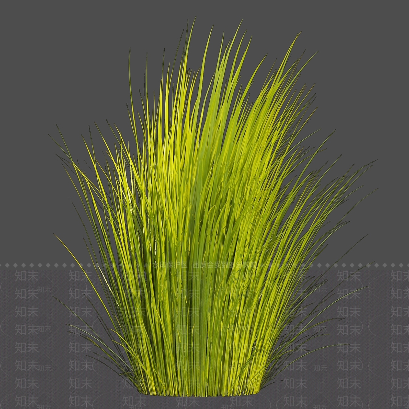 草3D模型下载【ID:1169648903】