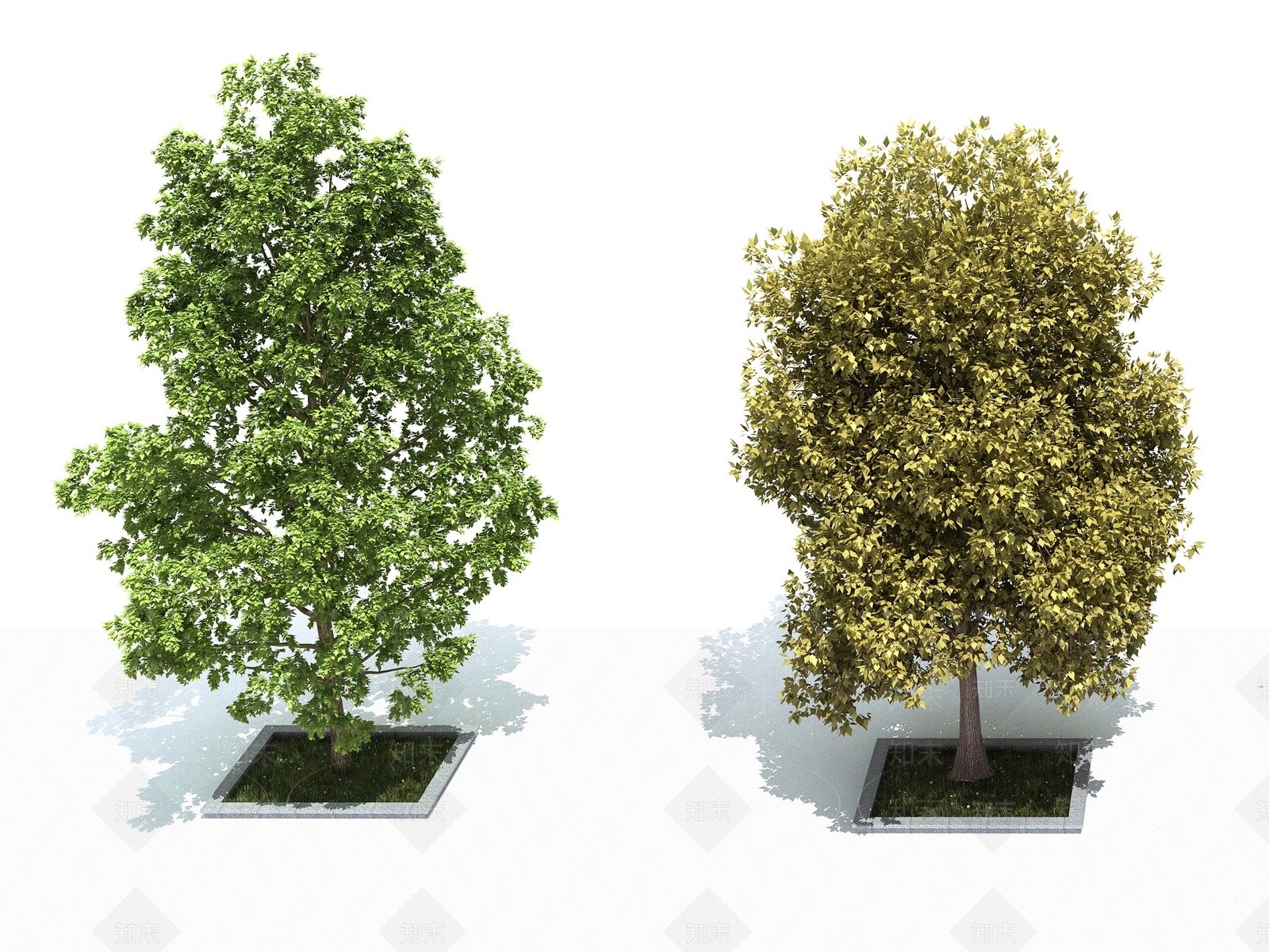 景观树3D模型下载【ID:1169658939】