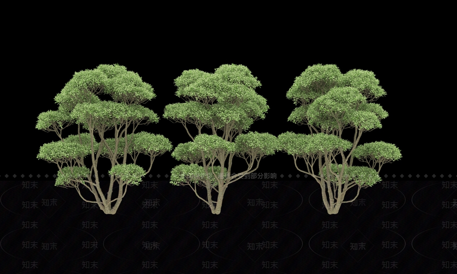 景观树3D模型下载【ID:1169661799】