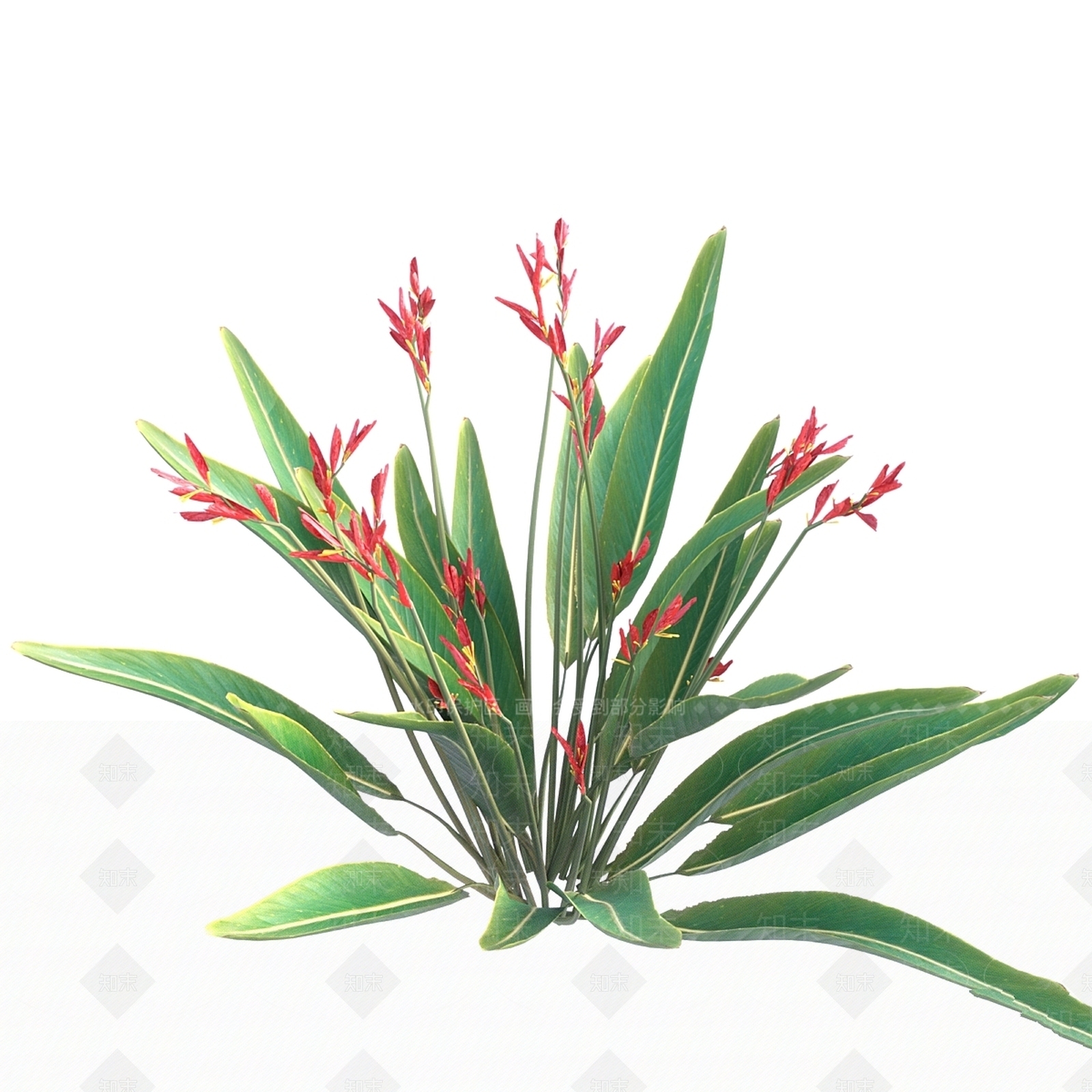 其他绿植3D模型下载【ID:1169664379】