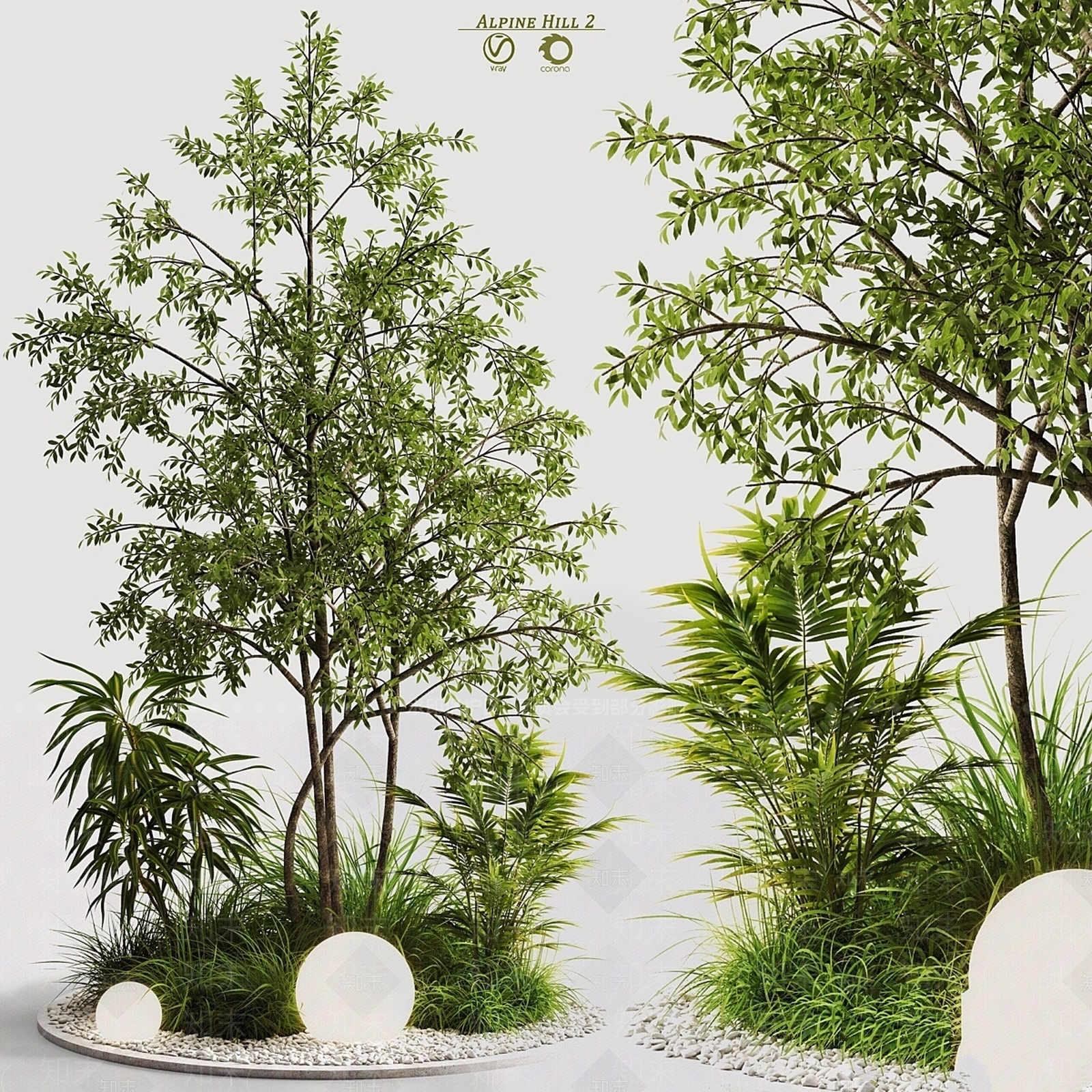 其他绿植3D模型下载【ID:1169682613】