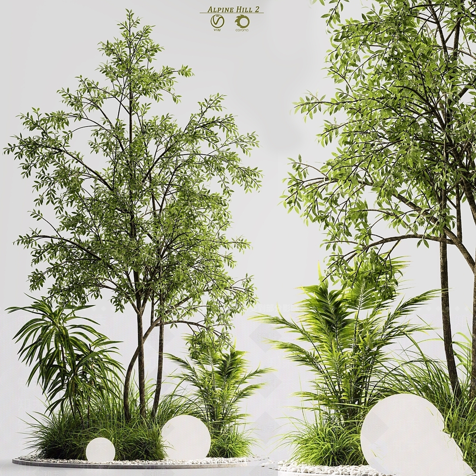 其他绿植3D模型下载【ID:1169682613】