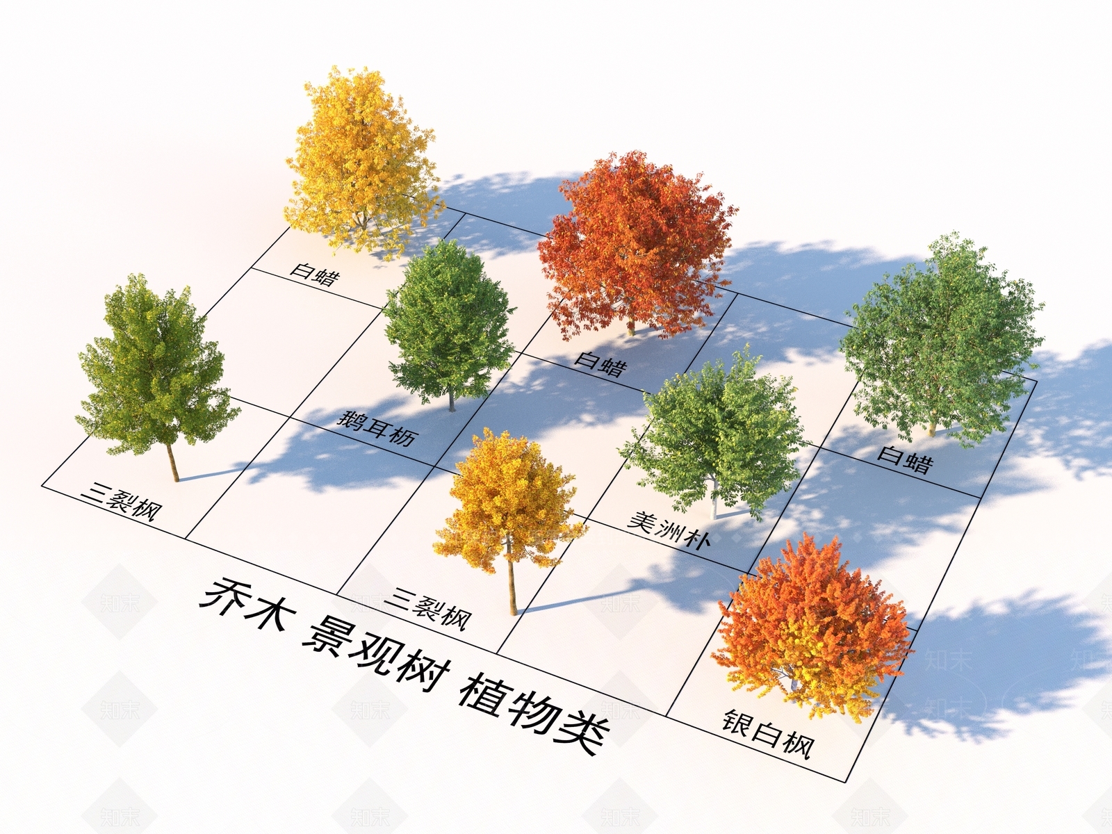 乔木3D模型下载【ID:1169699409】