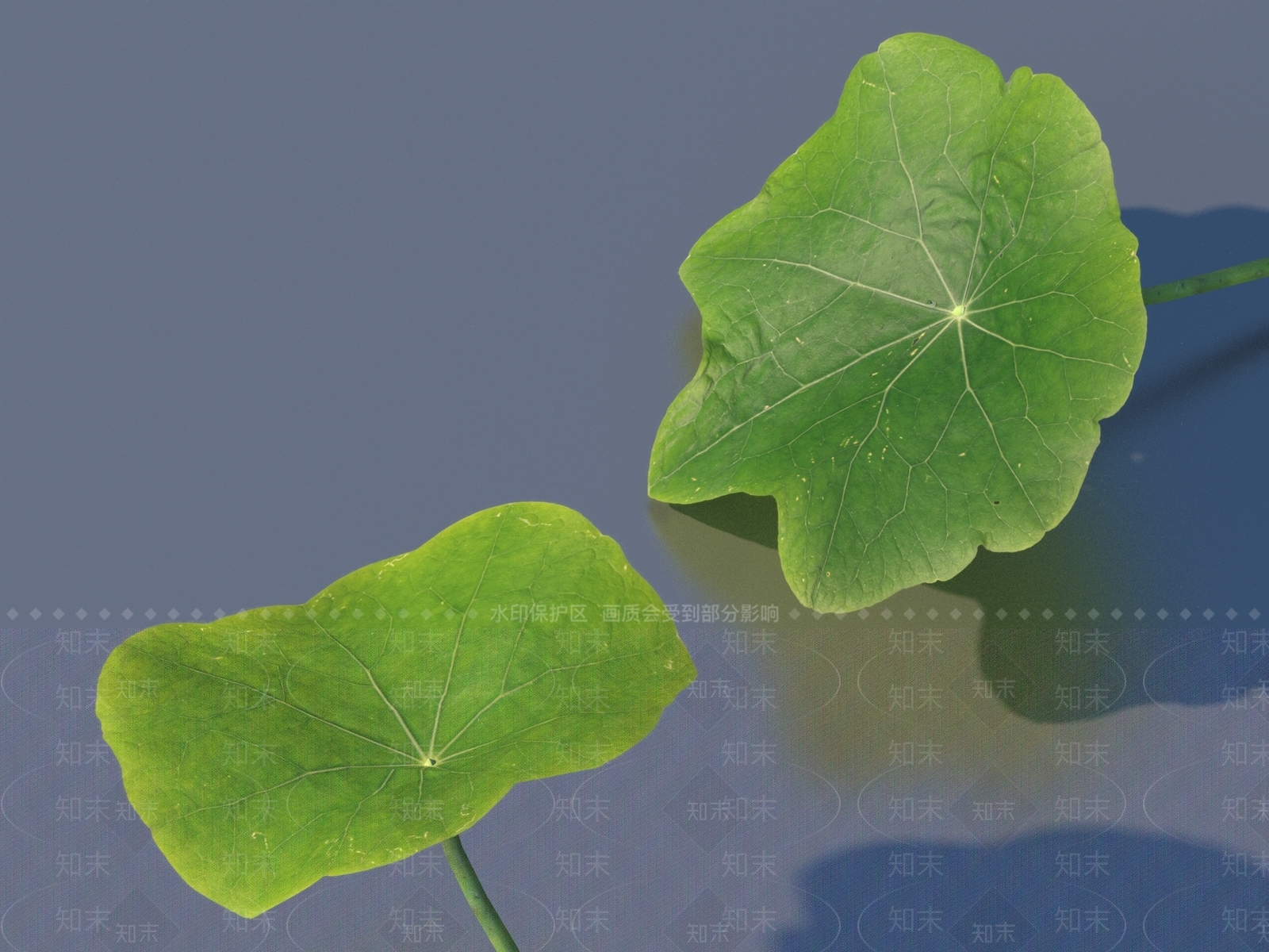 其他树木3D模型下载【ID:1169714576】