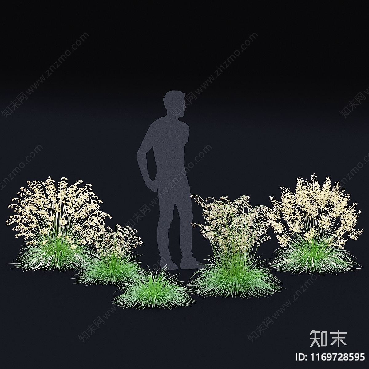 草3D模型下载【ID:1169728595】